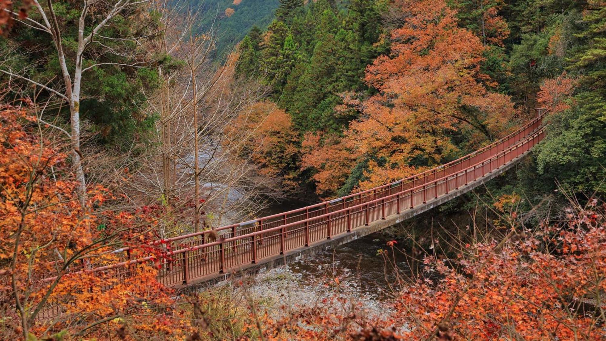 Toyoko Inn Tokyo Akigawa-Eki Kita-Guchi Akiruno Exteriör bild